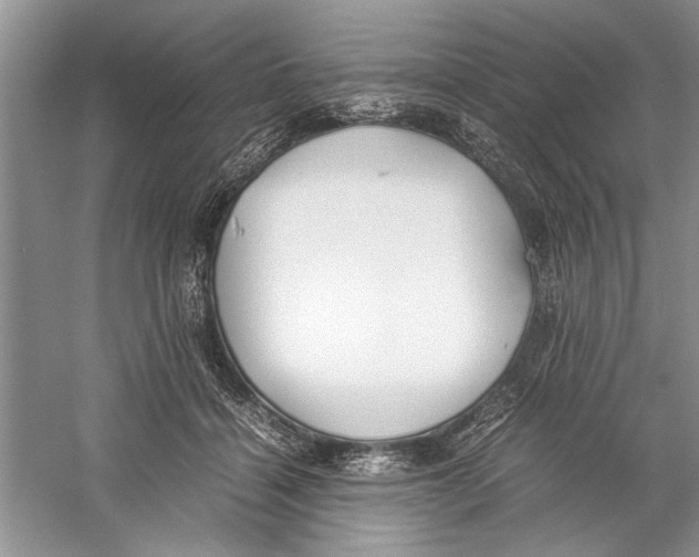 X0000059780460200511181426