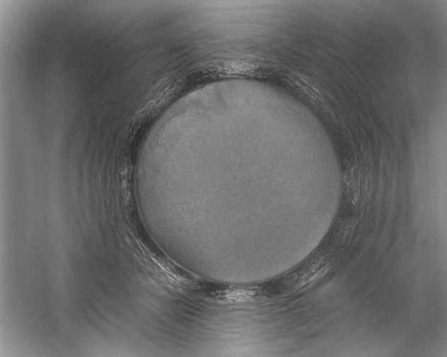 X0000059780462200511181426