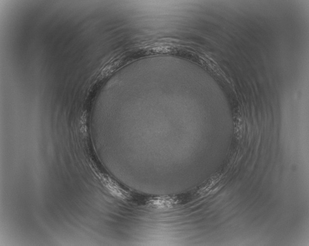 X0000059780466200511181426