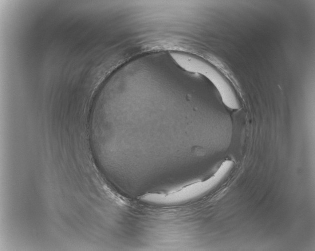 X0000059780481200511181425
