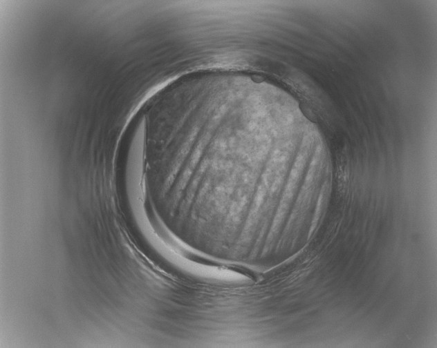 X0000059780484200511181425