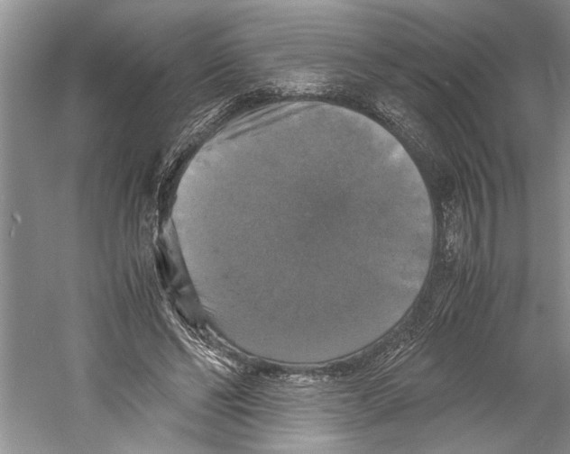 X0000059780494200511181425