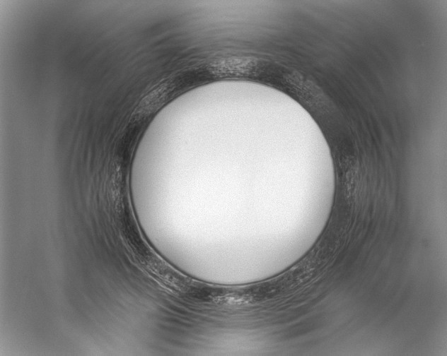X0000059780498200511181425