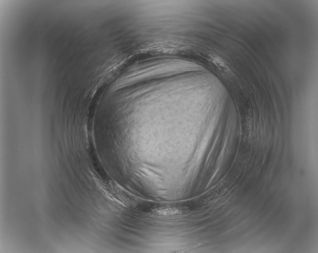 X0000059780500200511181425