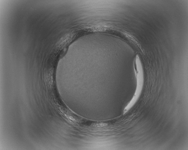 X0000059780501200511181425