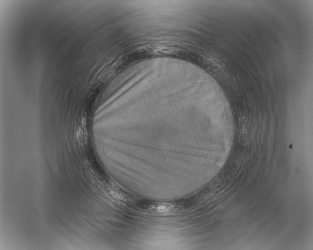 X0000059780506200511181425