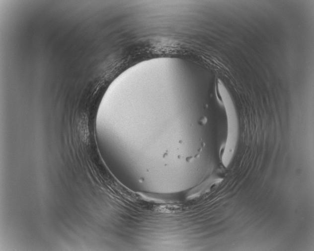 X0000059780508200511181425
