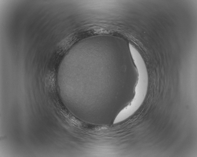 X0000059780513200511181425