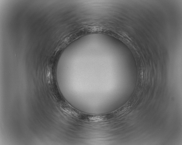 X0000059780516200511181425