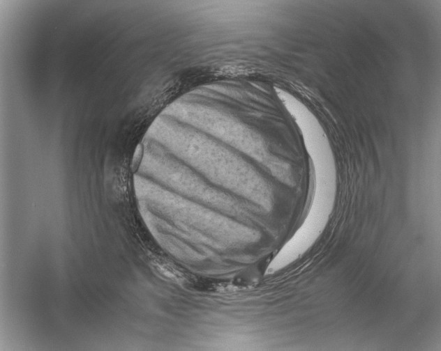 X0000059780517200511181425