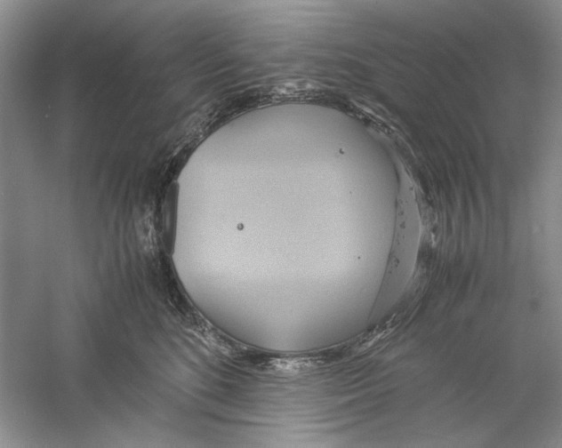X0000059780520200511181425
