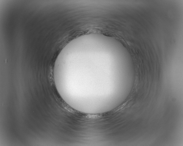X0000059780528200511181424