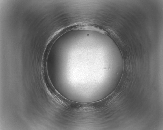 X0000059780536200511181424