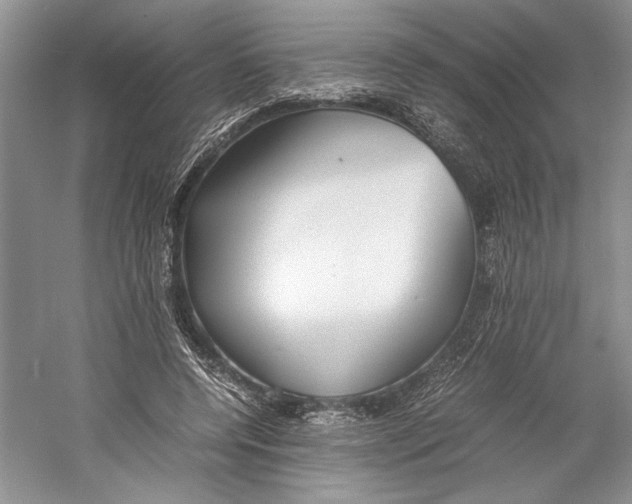 X0000059780544200511181424