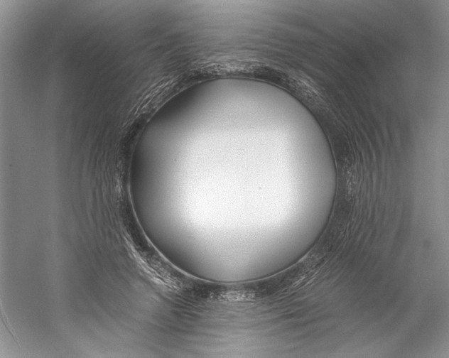 X0000059780546200511181424