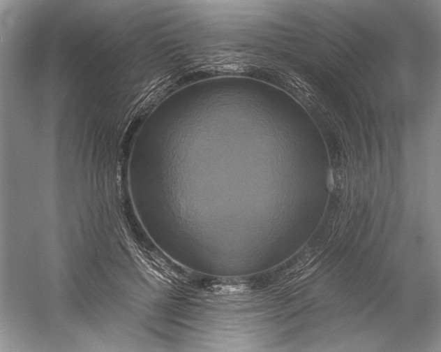 X0000059780552200511181424
