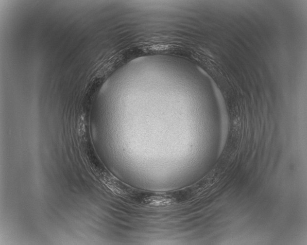 X0000059780555200511181424