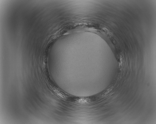 X0000059780566200511181424