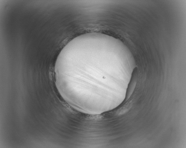 X0000059780576200511181424