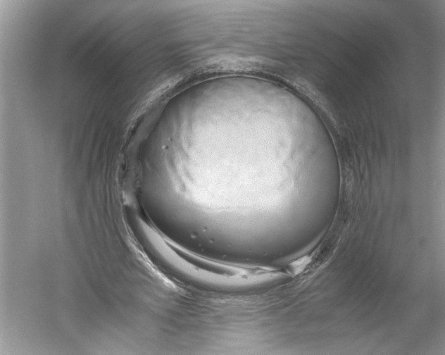X0000059780581200511181424