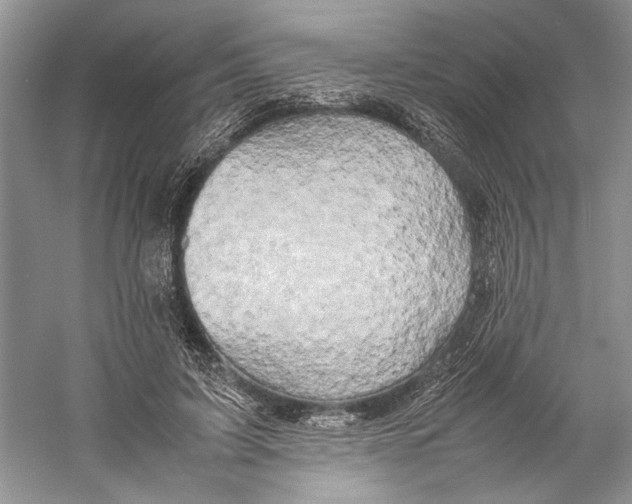 X0000059780595200511181423