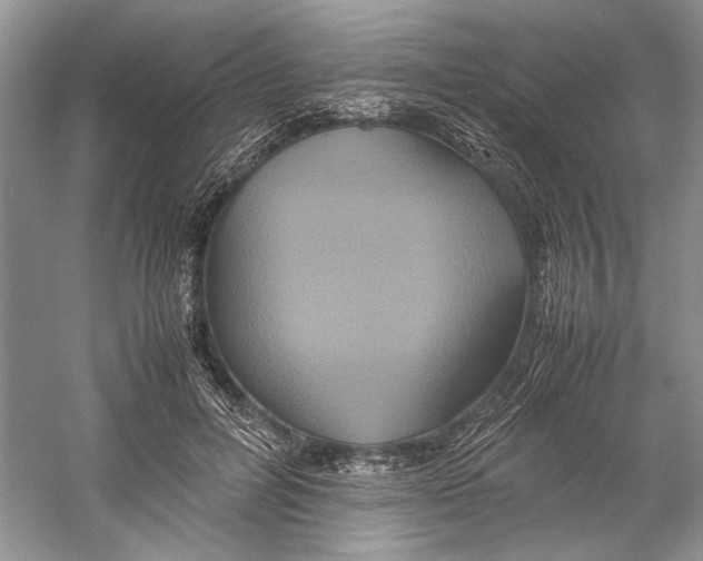 X0000059780600200511181423