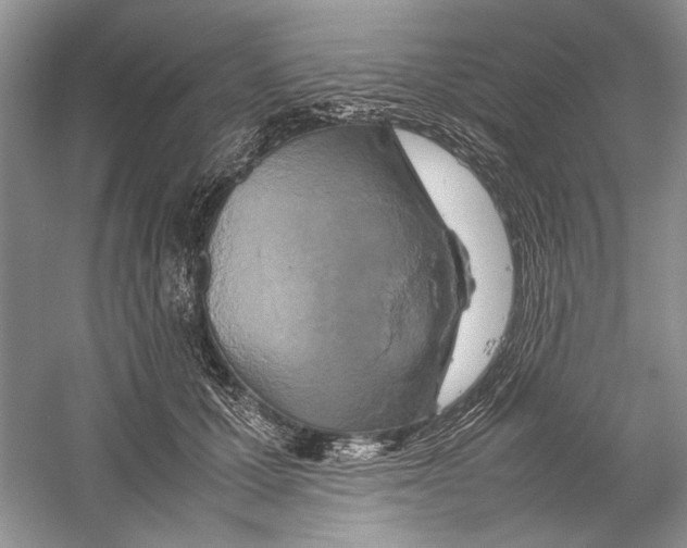 X0000059780607200511181423