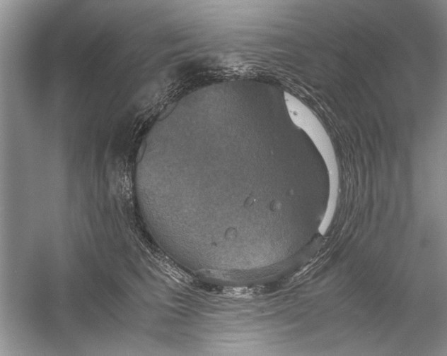 X0000059780613200511181423