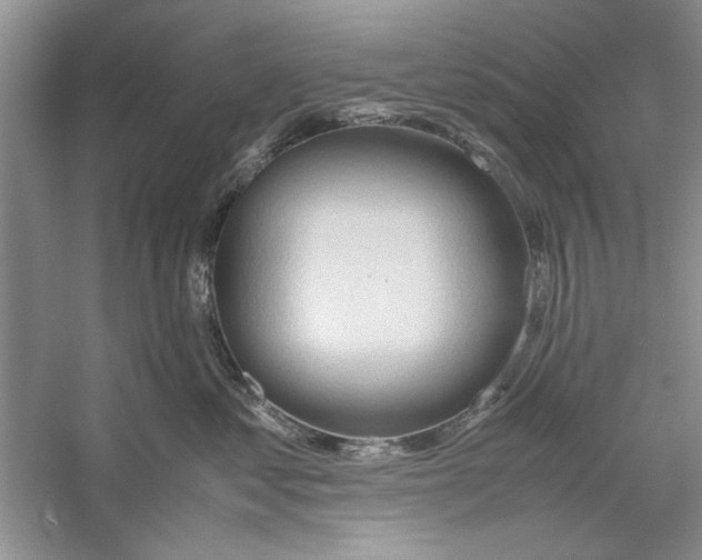 X0000059780621200511181423