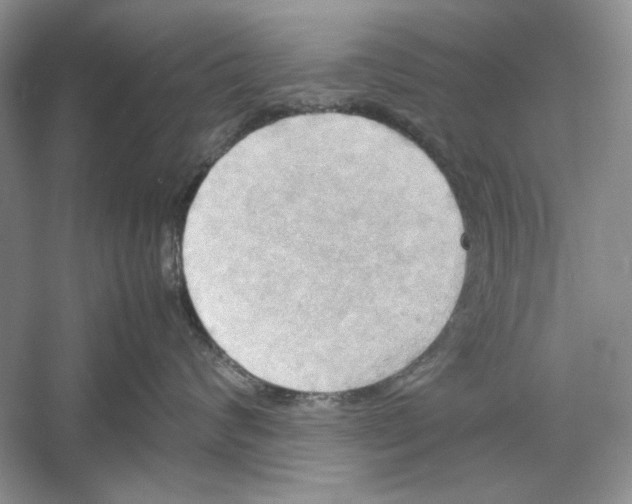 X0000059780624200511181423