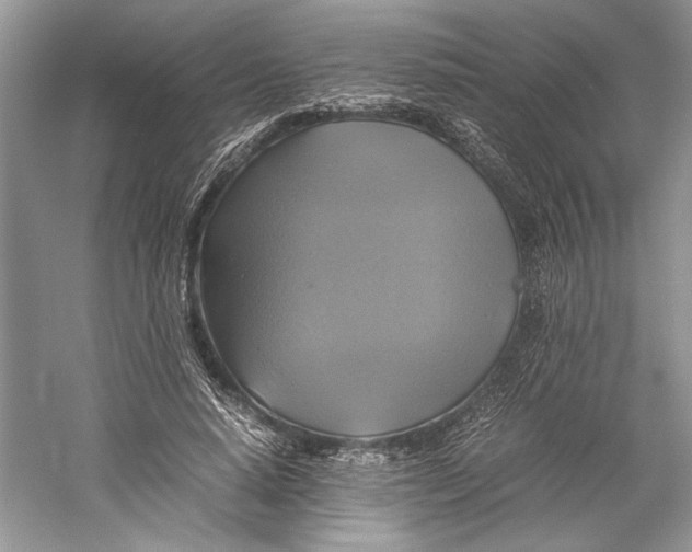 X0000059780640200511181422