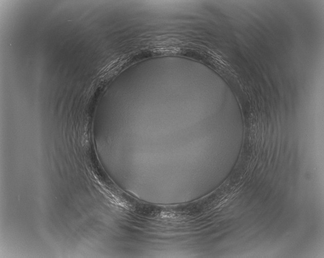 X0000059780641200511181422