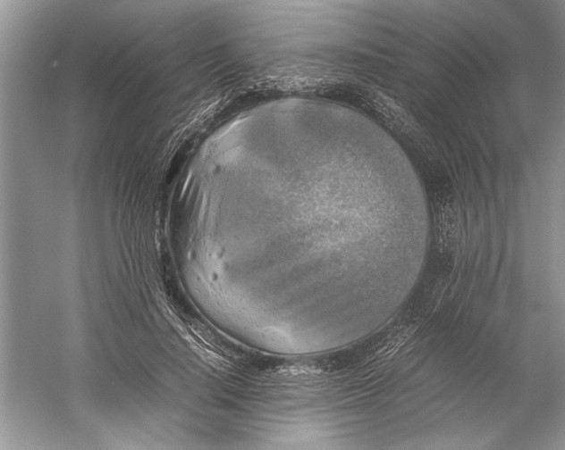 X0000059780644200511181422