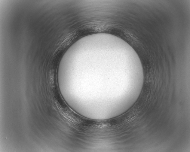 X0000059780646200511181422