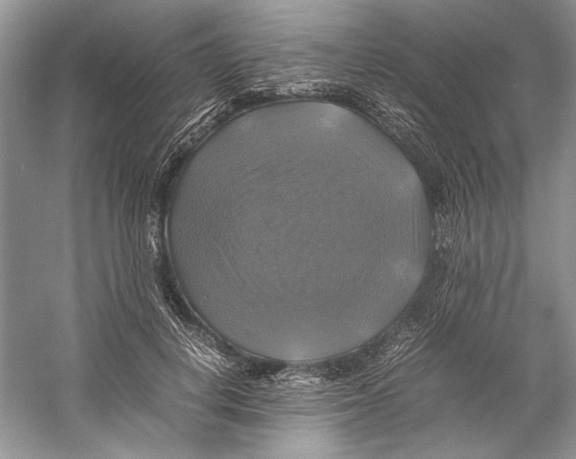 X0000059780648200511181422
