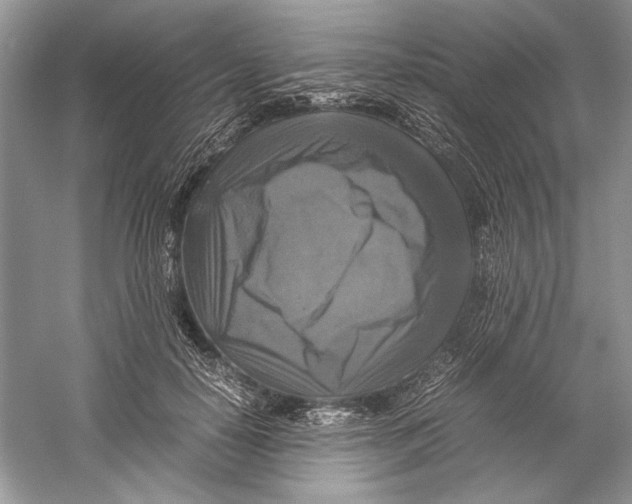 X0000059780650200511181422