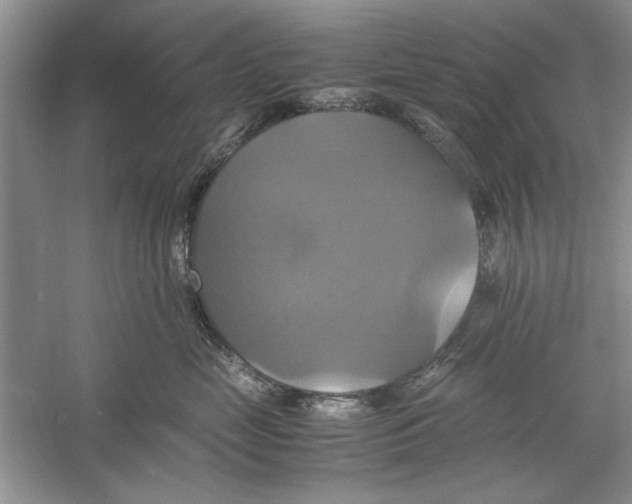X0000059780669200511181423