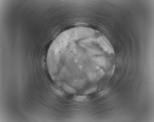 X0000059780671200511181423