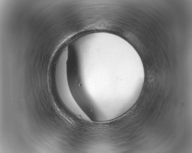 X0000059780680200511181422