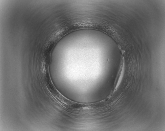 X0000059780692200511181422