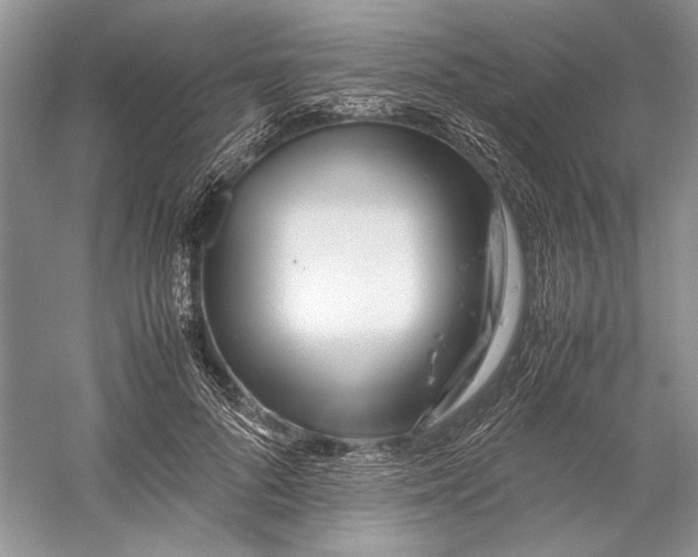 X0000059780696200511181422
