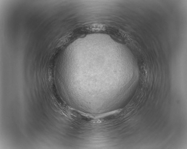 X0000059780704200511181421