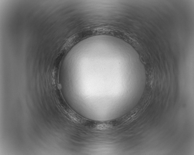 X0000059780708200511181421