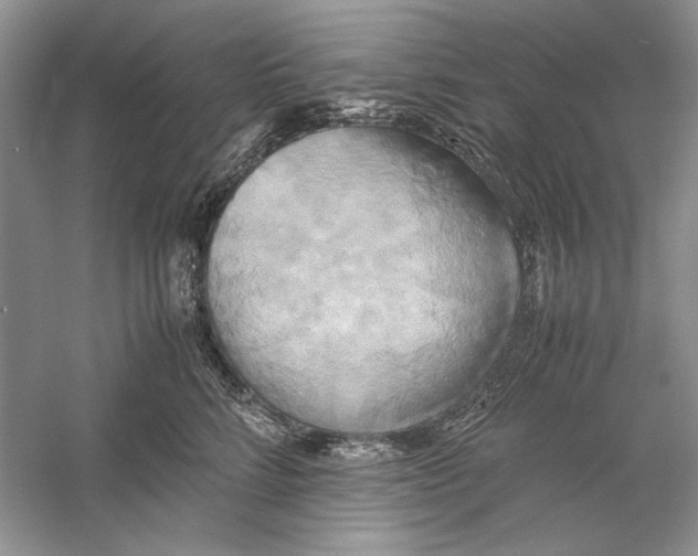 X0000059780712200511181421
