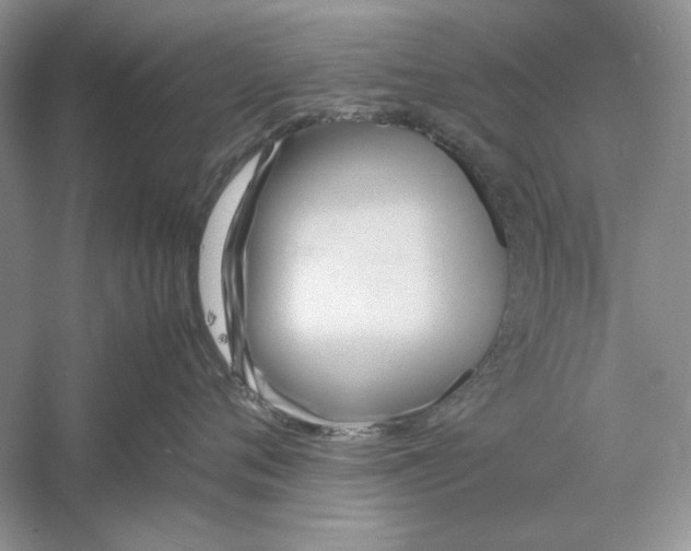 X0000059780720200511181421