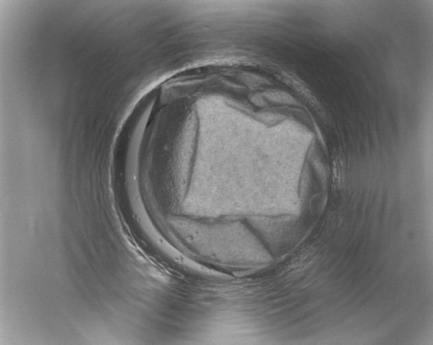 X0000059780724200511181420