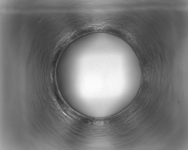 X0000059780740200511181421