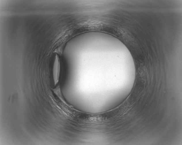 X0000059780744200511181421