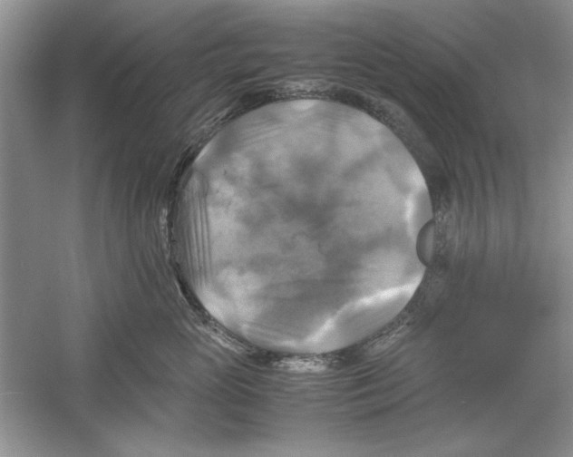 X0000059780765200511181421
