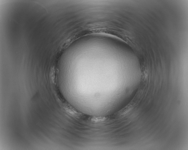 X0000059780767200511181421